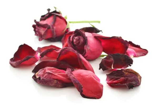 Dried Roses