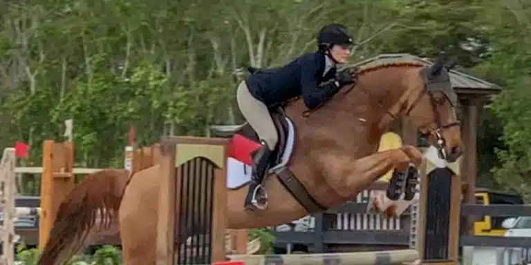 Woman and horse in the show ring, jumping over a fence