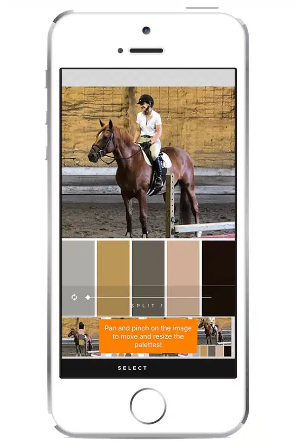 View of one of my favorite apps Palette Republic on iPhone