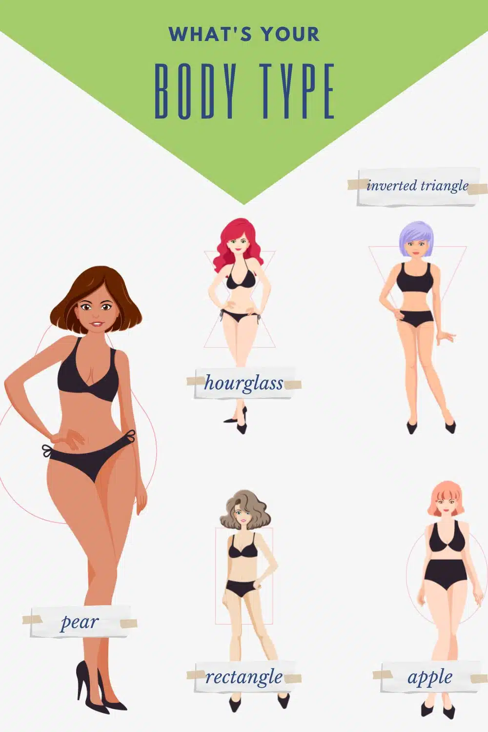 Drawings of five different female body types with labels.